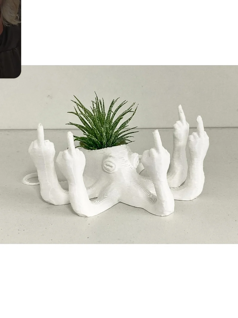White Ceramic Octopus Air Plant Planter